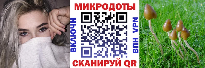 Галлюциногенные грибы MAGIC MUSHROOMS  Купить закладки  Волжск 